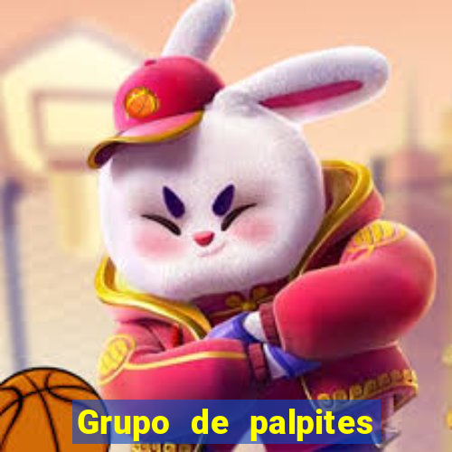 Grupo de palpites de futebol gratis